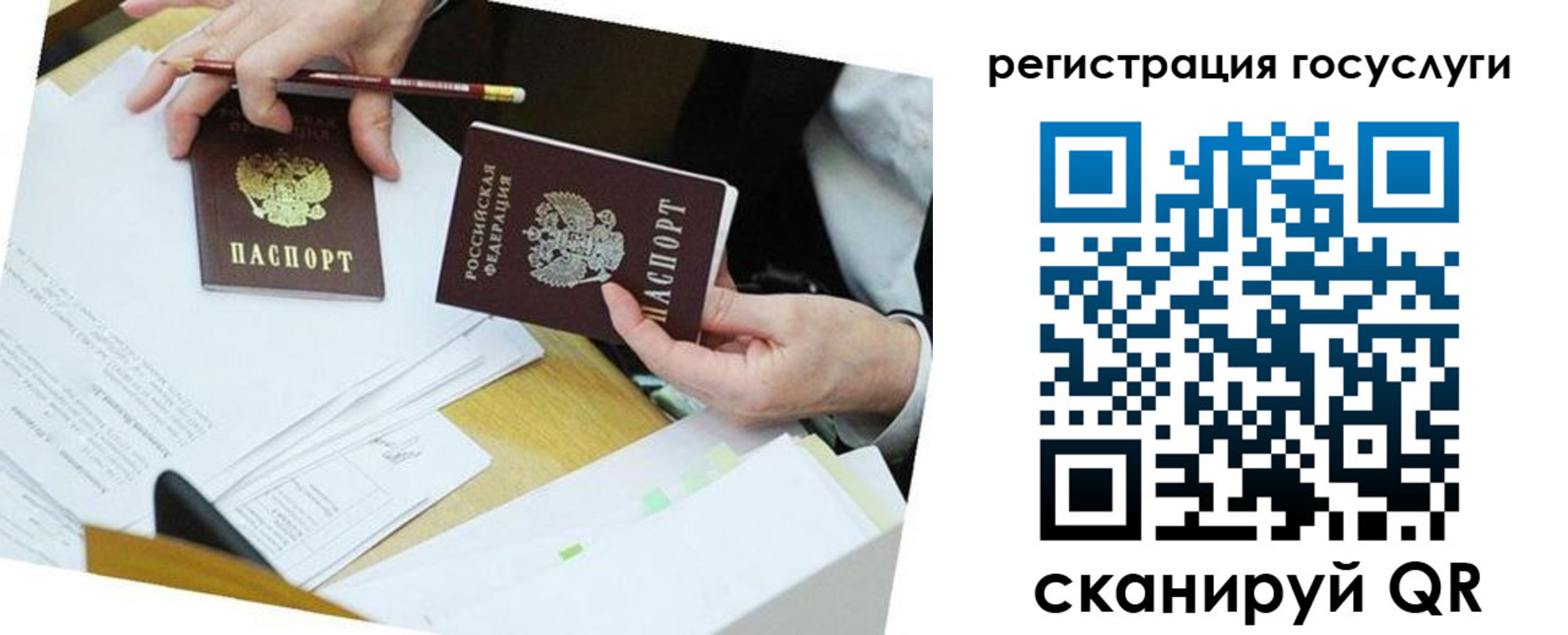 временная регистрация поиск в Ростове-на-Дону
